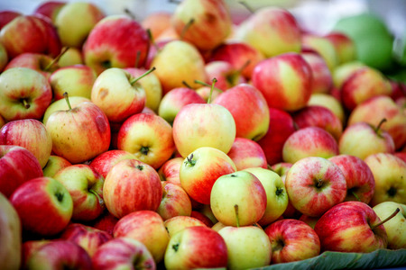 appleの写真素材