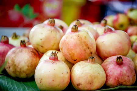 Pomegranateの写真素材