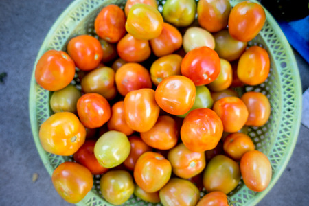 tomato