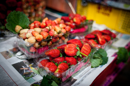 strawberryの写真素材