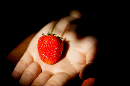 Strawberryの写真素材
