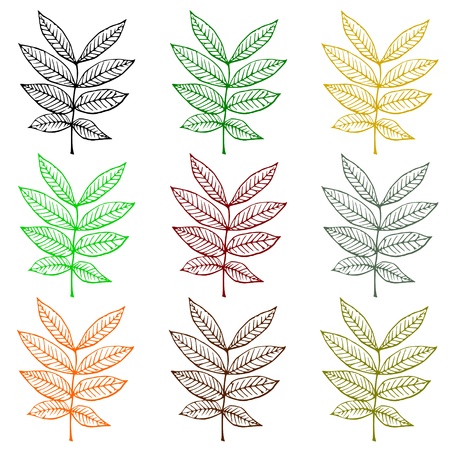 sets of multicolored outline plantのイラスト素材