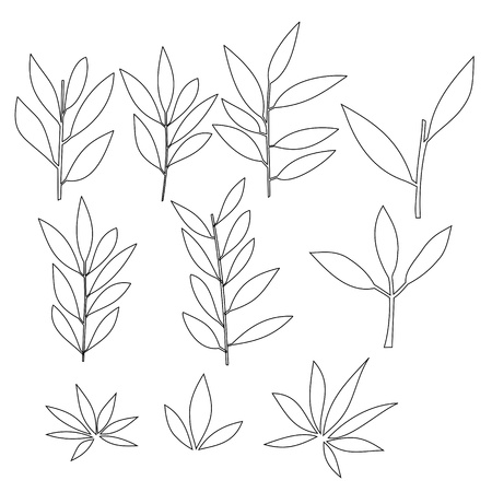 outline a series of plantのイラスト素材