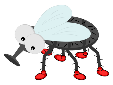a fly with shoesのイラスト素材
