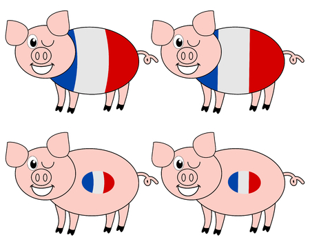 french pig breedingのイラスト素材