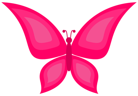 a pink butterflyのイラスト素材