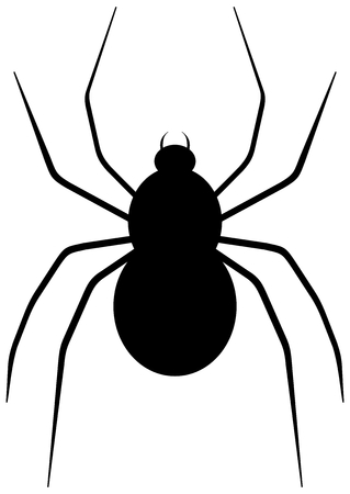 a spider backのイラスト素材