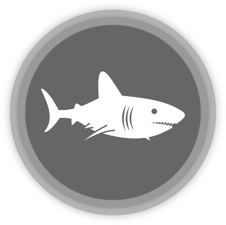 a shark in a grey panelのイラスト素材