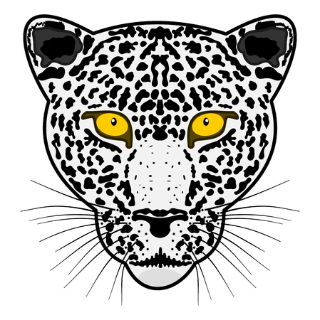 head leopardのイラスト素材