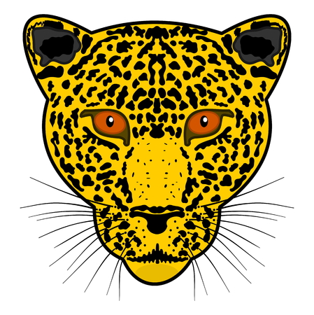head leopardのイラスト素材
