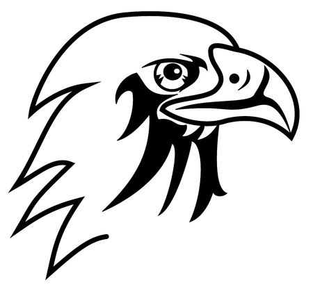 eagle for coloringのイラスト素材