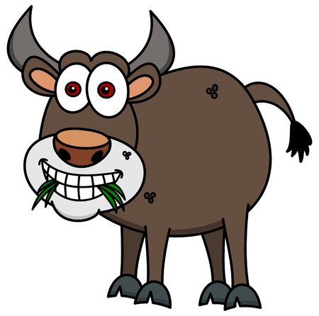 bull eating grassのイラスト素材