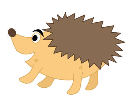 a young hedgehog yellow brown and smiling on his profileのイラスト素材