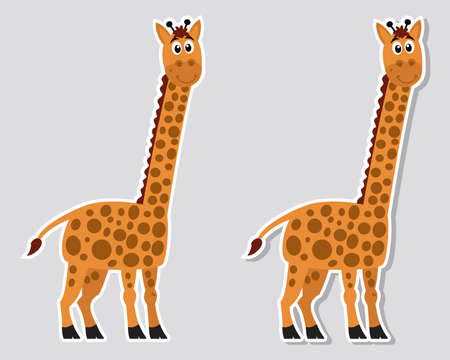 Beautiful and cute smiling giraffe on profile for sticker on gray backgroundのイラスト素材