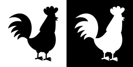 White and black farm hen on black and white background - vectorのイラスト素材