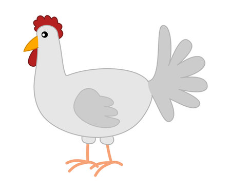 A white chicken isolated in profile on a white background - vectorのイラスト素材