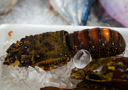 Ready-to-eat fresh crayfish for sale at the Fish Market in Santos, Brazil.