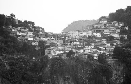 Favela on the hills of Santos, Brazil.の写真素材