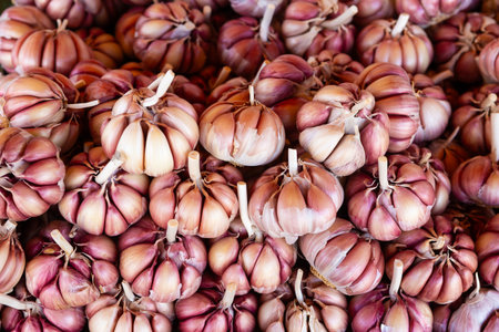 Garlic displayed on a market stall for sale.の写真素材