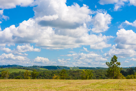 Scenic landscape with a green grass field under a bright blue sky filled with fluffy white clouds on...