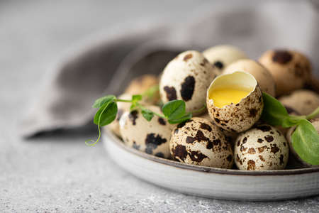 fresh quail eggs and one broken quail egg on a gray plate