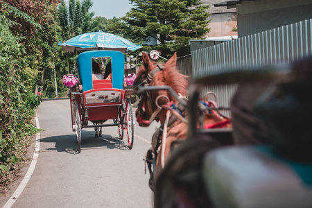 Horse-drawn carriage on the road in the city of Chiang Mai, Thailand