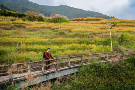 Man walking on the wooden bridge in rice field