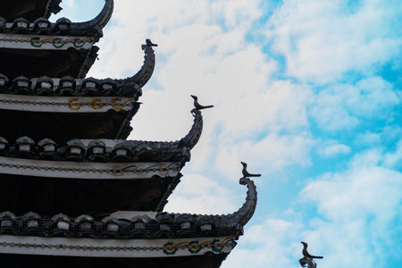 Three cormorants on the roof of a temple in Chinaの写真素材