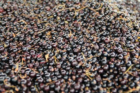 Close up of black berries in a market in North Europeの写真素材