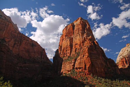 The Angels Landing red rock peak inside Zion National Park in Utahの写真素材