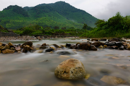 Nature landscape view of a running stream with rocksの写真素材