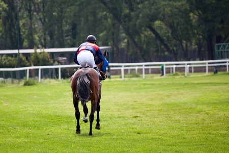 horse at gallop race at hippodrome