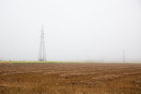 Fields lost in the Mistの写真素材