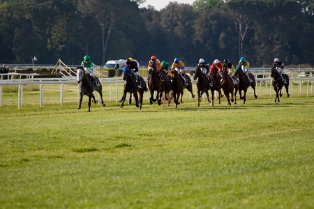 PISA, ITALY - APRIL, 30, 2010: Horse at gallop races at San Rossore's hippodrome, on April 30 2010, Pisa, Italyのeditorial素材