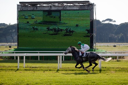 PISA, ITALY - APRIL, 30, 2010: Horse at gallop races at San Rossore's hippodrome, on April 30 2010, Pisa, Italyのeditorial素材