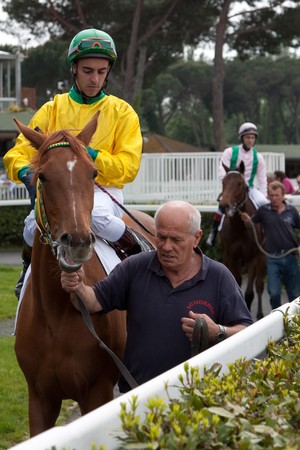 PISA, ITALY - APRIL, 30, 2010: Horse at gallop races at San Rossore's hippodrome, on April 30 2010,...