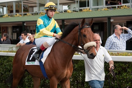 PISA, ITALY - APRIL, 30, 2010: Horse at gallop races at San Rossore's hippodrome, on April 30 2010, Pisa, Italyのeditorial素材