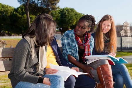 College Students Studying Together at Parkの写真素材