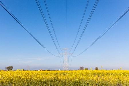 Electricity Pilon in the Countryside on Spring