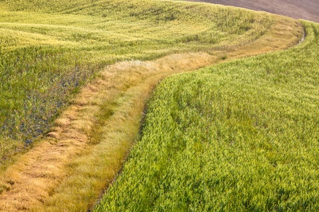 Tuscany Hills at Sunriseの写真素材