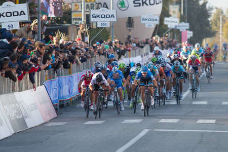 INDICATORE, AREZZO, ITALY - MARCH 08: Mark Cavendish wins the final sprint of the 2nd stage of 2012 Tirreno-Adriatico on March 08, 2012 in Indicatore, Arezzo, Italyのeditorial素材