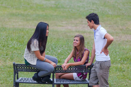 Group of Teenagers Talking at Parkの写真素材