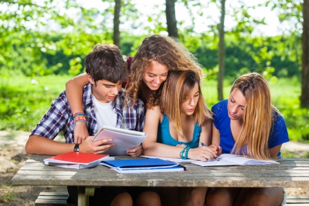 Group of Teenage Students at Parkの写真素材