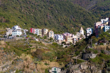 Corniglia Village, Cinque Terre, Italyの写真素材