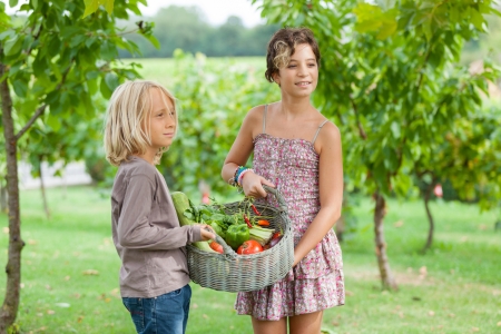 Boy and Girl Holding Basket of Vegetablesの写真素材