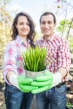 Gardeners Holding Small Plant at Nurseryの写真素材