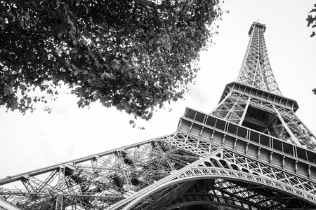 Tour Eiffel in Parisの写真素材