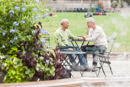 Gay Couple at Park in New Yorkの写真素材