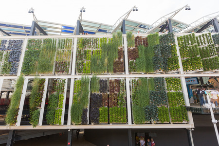 MILAN, ITALY - JUNE 01, 2015: USA pavilion at Expo 2015. The theme of the Universal Exposition is Feeding the Planet, Energy for Life.のeditorial素材
