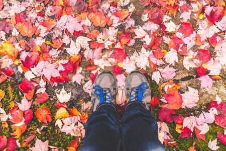 Hiking shoes with red leaves all around. Hiker and his feet with autumn themed ground. Fall seasone, nature and healthy lifestyle conceptsの写真素材